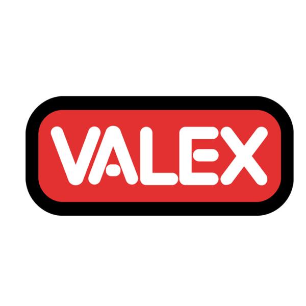 Smerigliatrice da banco doppia EX150 1400114 VALEX - foto 1